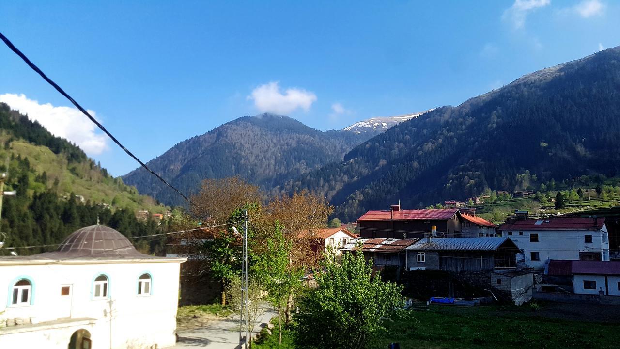 Talipoglu Apart Aparthotel Uzungol Exterior photo